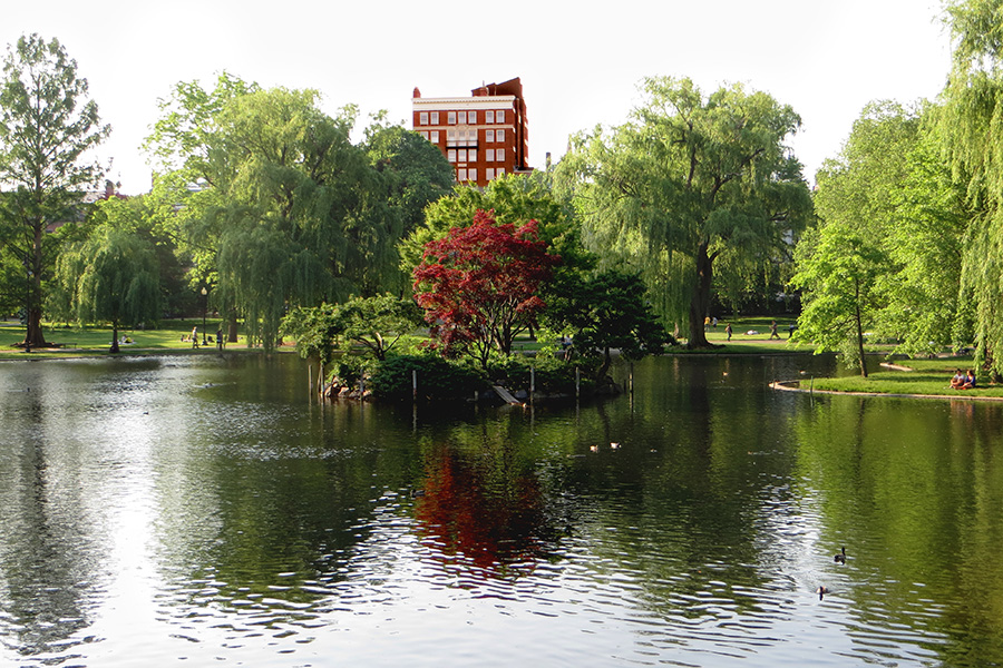 Boston Public Gardens